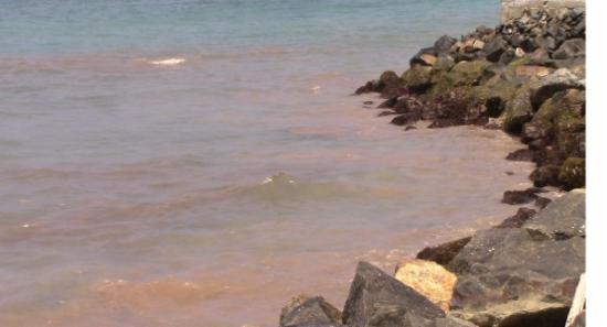 හික්කඩුව වෙරළේ පවතින තෙල් තට්ටු ලිහිසි තෙල්